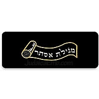 megillah holder & velvet megilah case