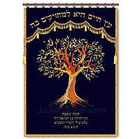 parochet & Torah ark curtains