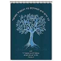 parochet & Torah ark curtains