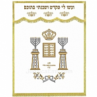 Parochet - White Paroches & Torah ark curtains