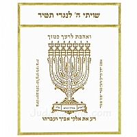 Parochet - White Paroches & Torah ark curtains