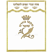 Parochet - White Paroches & Torah ark curtains