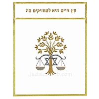 Parochet - White Paroches & Torah ark curtains