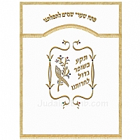 Parochet - White Paroches & Torah ark curtains