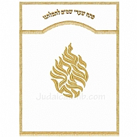 Parochet - White Paroches & Torah ark curtains