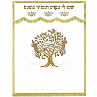 Parochet - White Paroches & Torah ark curtains